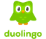 Duoilingo English Test